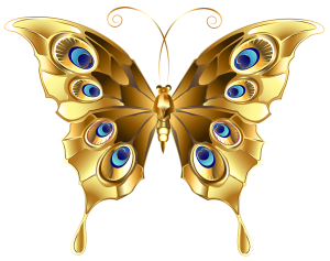 a gold butterfly broach